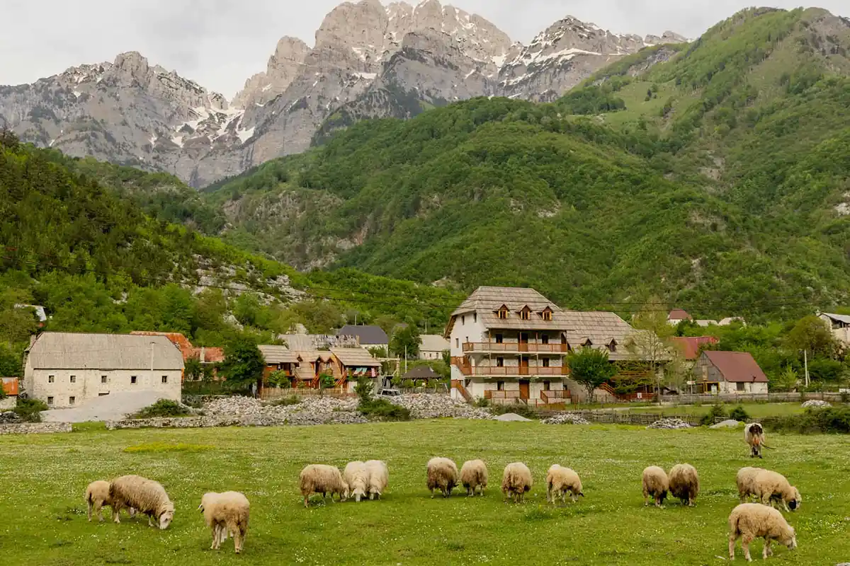Local Tour Albania